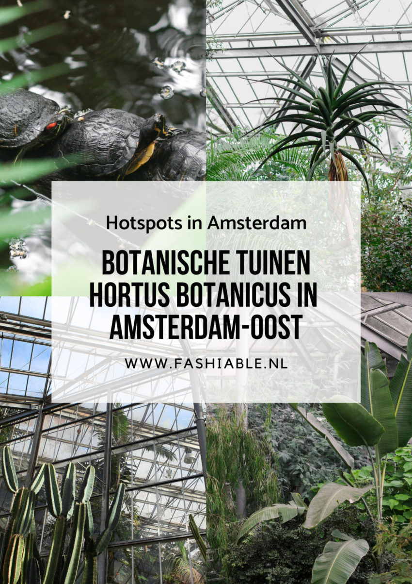 Botanische tuinen in Amsterdam-Oost
