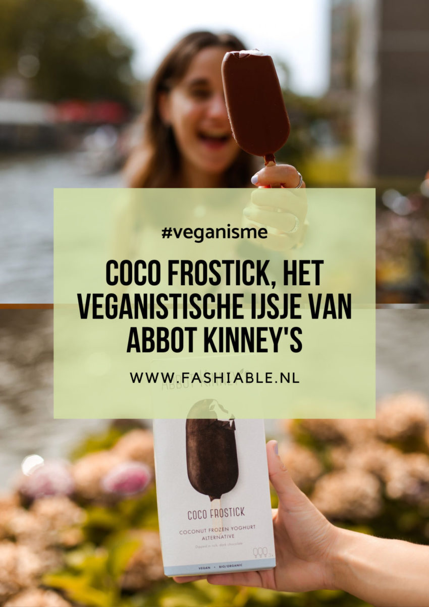 Coco Frostick veganistisch ijsje