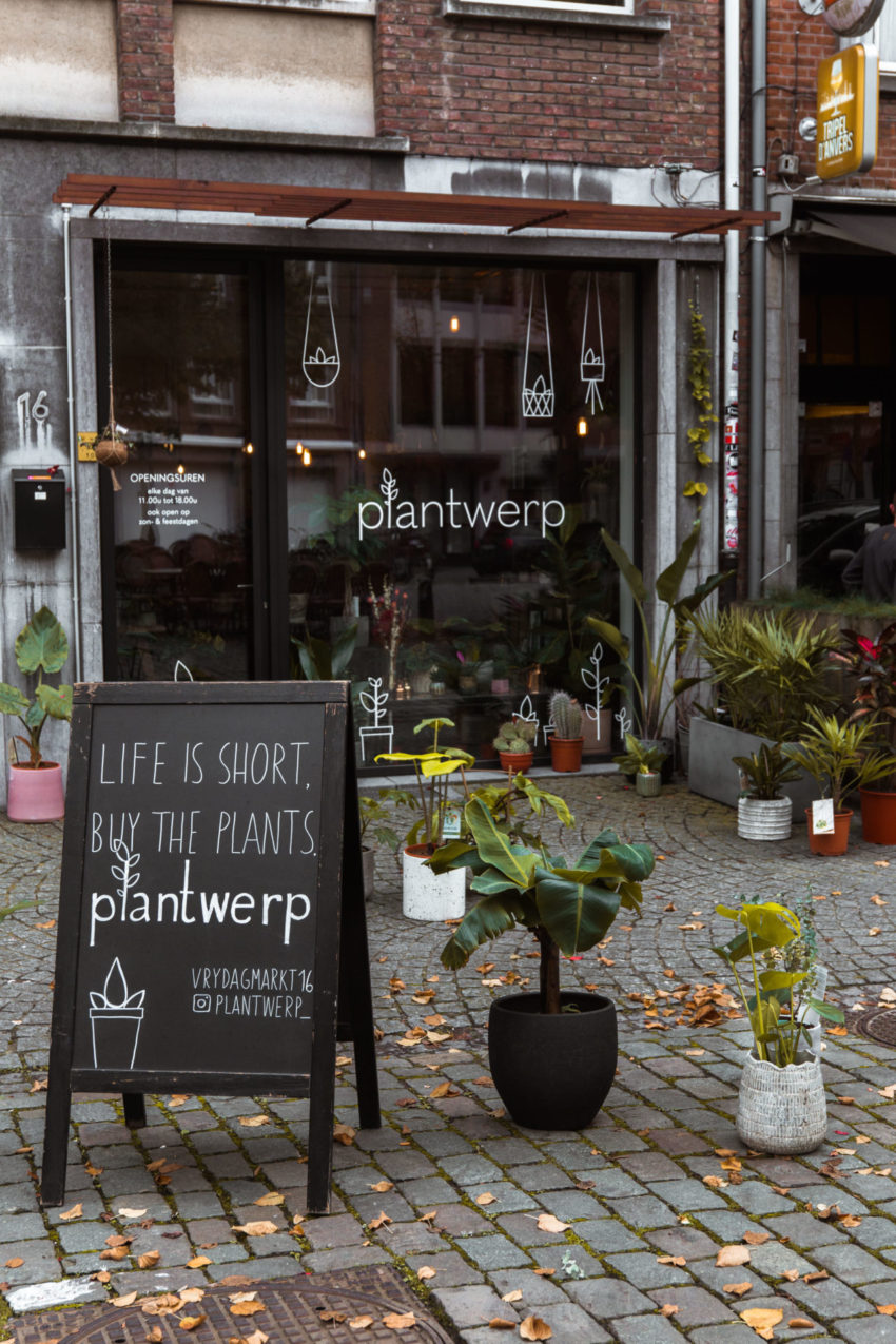 Plantenwinkel Plantwerp in Antwerpen