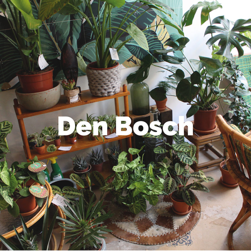 Ontdek alle hotspots in Den Bosch